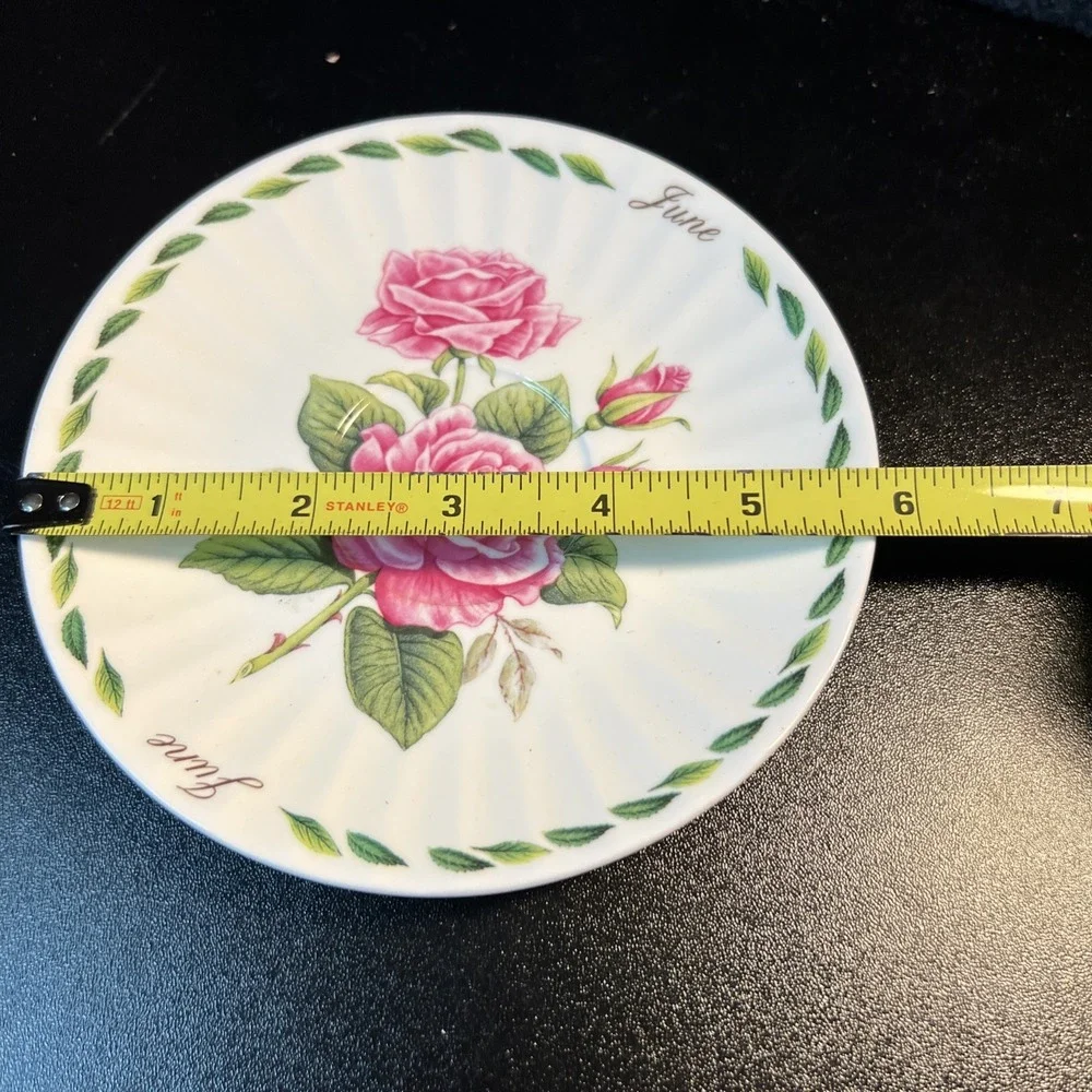 Dynasty Royal Patrician Fine Bone China England JUNE Pink Roses Tea Cup & Saucer